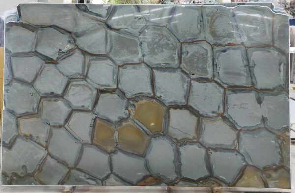 Brazilian Fossil - Image 2