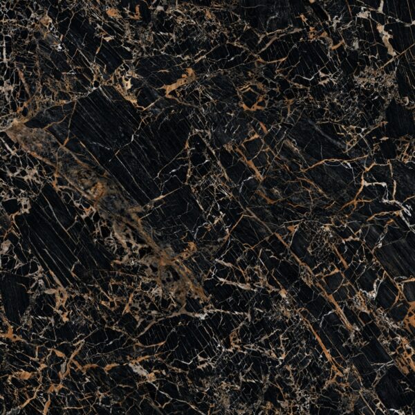 Black & Gold